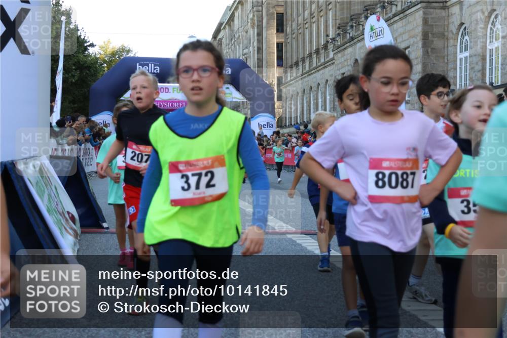 06.09.2026 - CURREX Alsterlauf Strokosch-Dieckow http://msf.ph/oto/10141845 06.09.2026 10:54:28 Ziel 162, 179, 207, 239, 240, 278, 284, 285, 297, 304, 318, 326, 329, 333, 343, 357, 361, 365, 372, 387, 390, 431, 444, 456, 8087, 8343 meine-sportfotos.de
