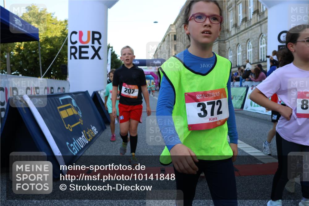 06.09.2026 - CURREX Alsterlauf Strokosch-Dieckow http://msf.ph/oto/10141848 06.09.2026 10:54:29 Ziel 162, 179, 207, 239, 240, 278, 284, 285, 297, 304, 318, 326, 329, 333, 343, 357, 361, 372, 387, 390, 456, 8343 meine-sportfotos.de