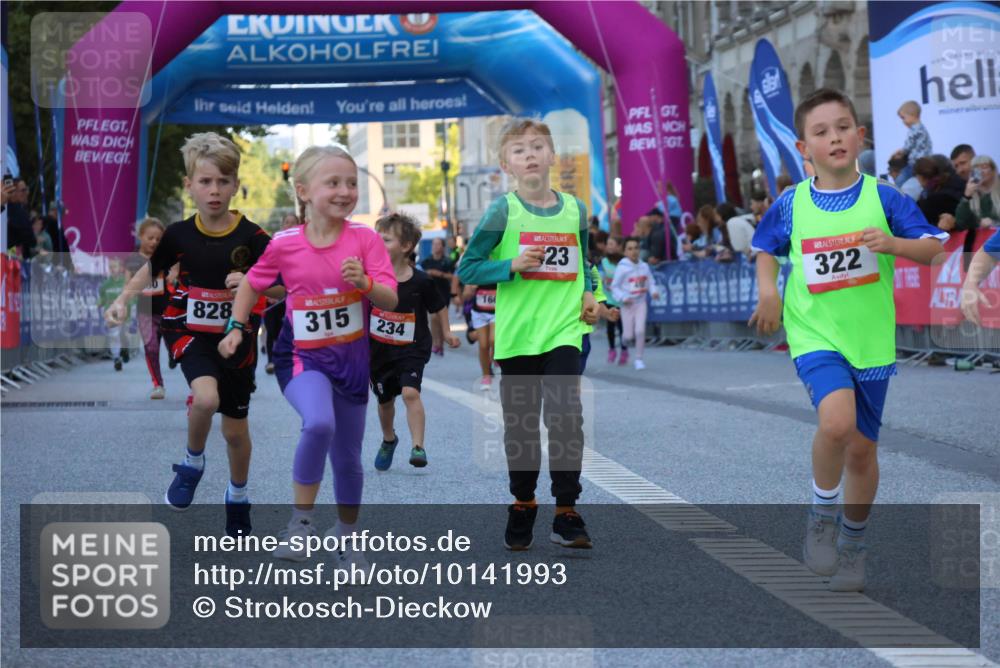 06.09.2026 - CURREX Alsterlauf Strokosch-Dieckow http://msf.ph/oto/10141993 06.09.2026 10:54:49 Ziel 229, 234, 315, 322, 328, 340, 345, 359, 382, 398, 423, 8287 meine-sportfotos.de