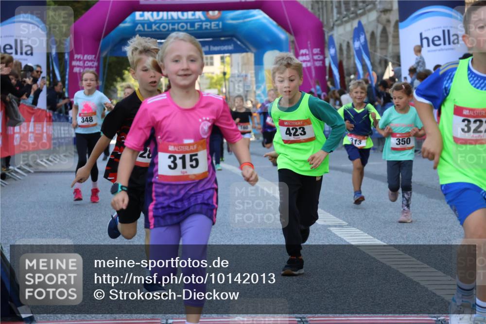 06.09.2026 - CURREX Alsterlauf Strokosch-Dieckow http://msf.ph/oto/10142013 06.09.2026 10:54:51 Ziel 229, 234, 313, 315, 322, 345, 348, 350, 382, 398, 423, 8287 meine-sportfotos.de