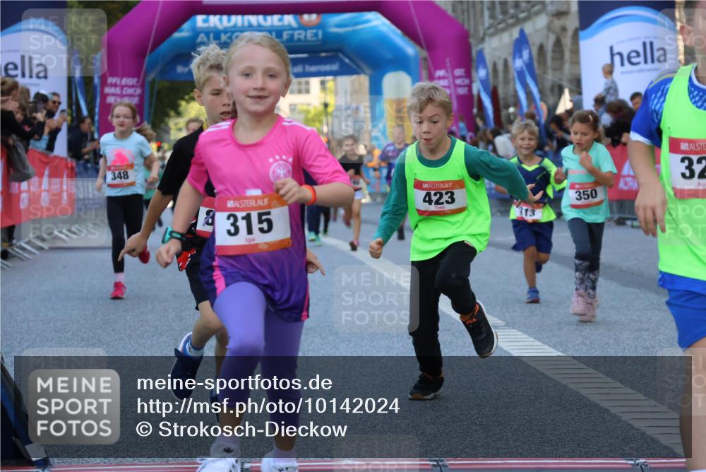 06.09.2026 - CURREX Alsterlauf Strokosch-Dieckow http://msf.ph/oto/10142024 06.09.2026 10:54:51 Ziel 229, 234, 313, 315, 322, 345, 348, 350, 382, 398, 423, 8287 meine-sportfotos.de