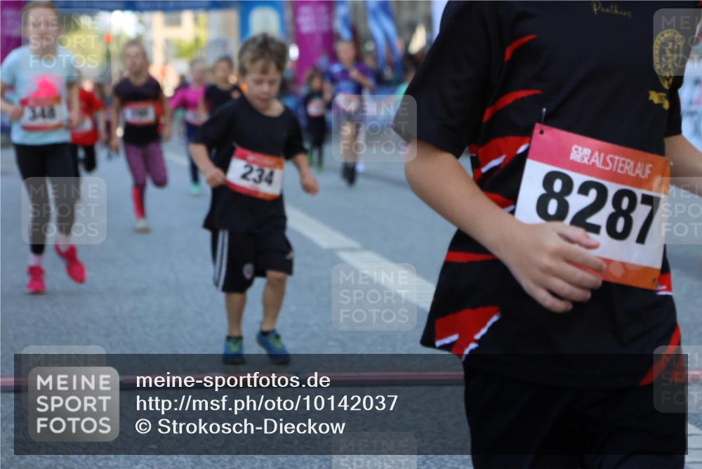06.09.2026 - CURREX Alsterlauf Strokosch-Dieckow http://msf.ph/oto/10142037 06.09.2026 10:54:54 Ziel 160, 196, 234, 290, 313, 315, 322, 345, 348, 350, 398, 423, 8287 meine-sportfotos.de