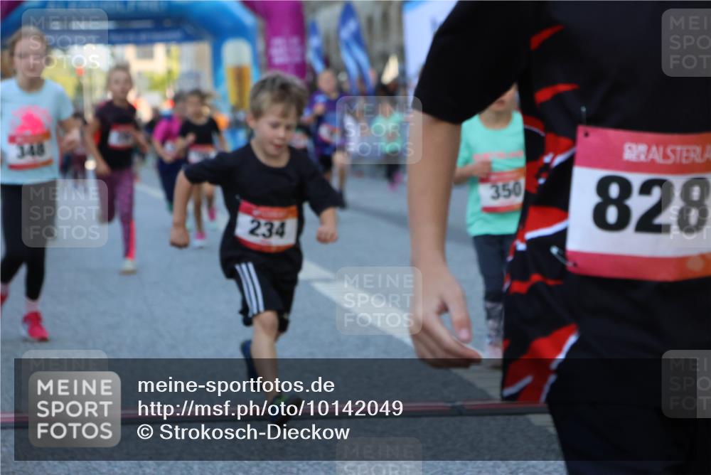 06.09.2026 - CURREX Alsterlauf Strokosch-Dieckow http://msf.ph/oto/10142049 06.09.2026 10:54:54 Ziel 160, 196, 234, 290, 313, 315, 322, 345, 348, 350, 398, 423, 8287 meine-sportfotos.de