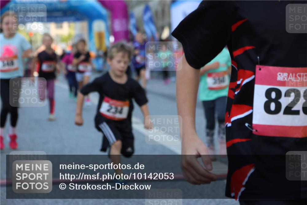06.09.2026 - CURREX Alsterlauf Strokosch-Dieckow http://msf.ph/oto/10142053 06.09.2026 10:54:54 Ziel 160, 196, 234, 290, 313, 315, 322, 345, 348, 350, 398, 423, 8287 meine-sportfotos.de