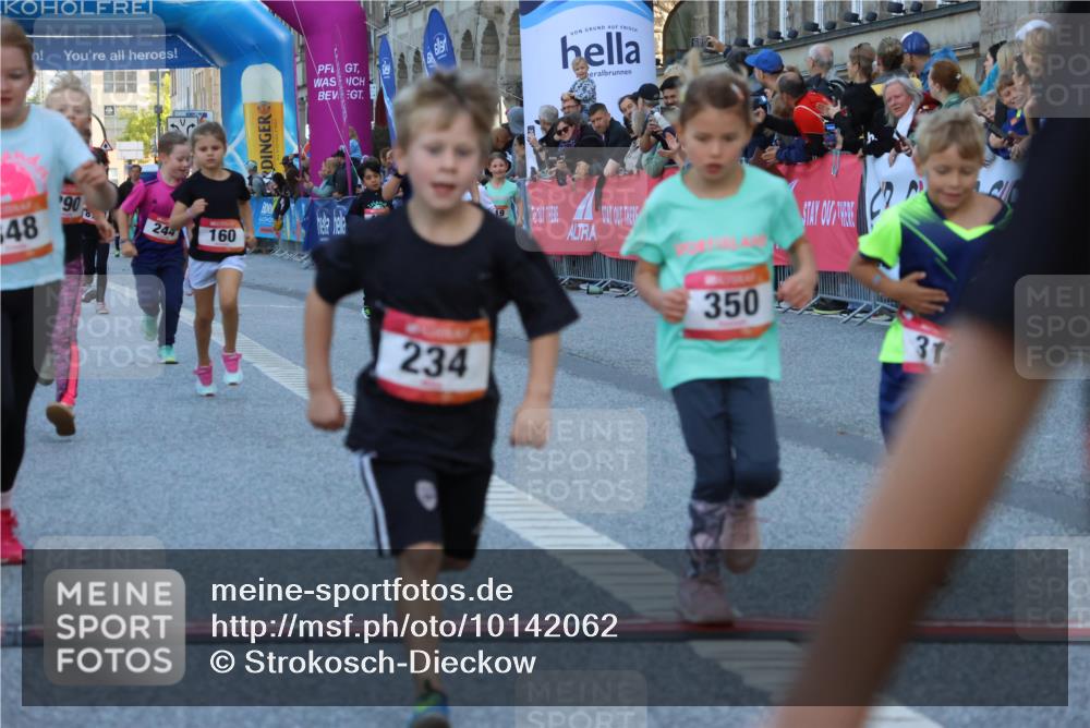 06.09.2026 - CURREX Alsterlauf Strokosch-Dieckow http://msf.ph/oto/10142062 06.09.2026 10:54:55 Ziel 160, 196, 234, 244, 287, 290, 313, 315, 322, 348, 350, 398, 423, 8287 meine-sportfotos.de