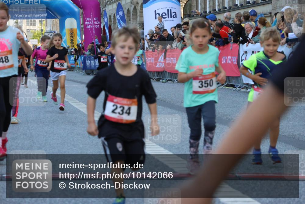 06.09.2026 - CURREX Alsterlauf Strokosch-Dieckow http://msf.ph/oto/10142066 06.09.2026 10:54:55 Ziel 160, 196, 234, 244, 287, 290, 313, 315, 322, 348, 350, 398, 423, 8287 meine-sportfotos.de