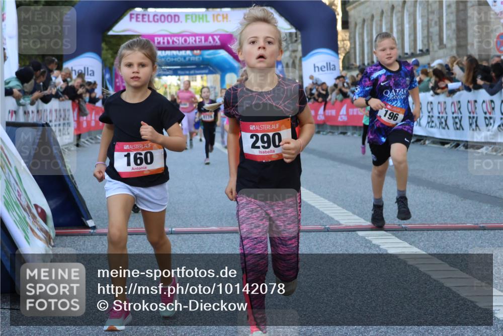 06.09.2026 - CURREX Alsterlauf Strokosch-Dieckow http://msf.ph/oto/10142078 06.09.2026 10:54:59 Ziel 160, 196, 234, 244, 287, 290, 313, 348, 350, 419, 423, 427, 453, 8287 meine-sportfotos.de