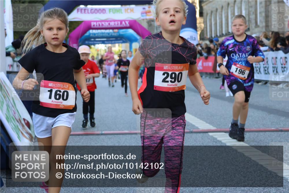 06.09.2026 - CURREX Alsterlauf Strokosch-Dieckow http://msf.ph/oto/10142102 06.09.2026 10:54:59 Ziel 160, 196, 234, 244, 287, 290, 313, 348, 350, 419, 423, 427, 453, 8287 meine-sportfotos.de