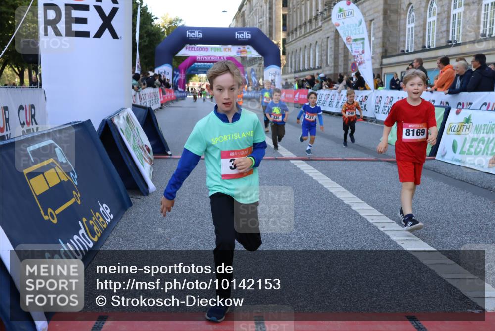 06.09.2026 - CURREX Alsterlauf Strokosch-Dieckow http://msf.ph/oto/10142153 06.09.2026 10:55:42 Ziel 237, 248, 295, 305, 335, 342, 344, 410, 8169 meine-sportfotos.de