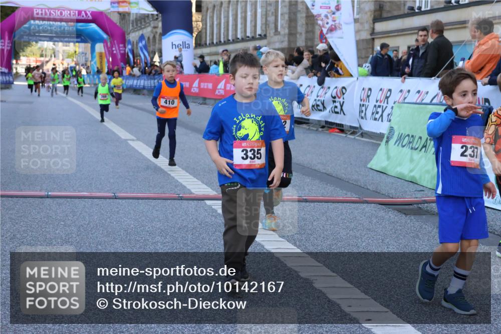 06.09.2026 - CURREX Alsterlauf Strokosch-Dieckow http://msf.ph/oto/10142167 06.09.2026 10:55:44 Ziel 237, 248, 295, 305, 335, 342, 344, 410, 8169 meine-sportfotos.de