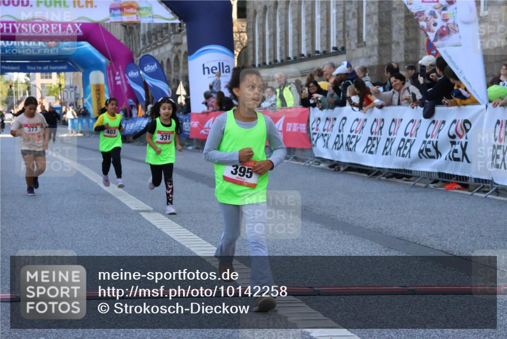 06.09.2026 - CURREX Alsterlauf Strokosch-Dieckow http://msf.ph/oto/10142258 06.09.2026 10:55:55 Ziel 245, 331, 366, 373, 395, 403 meine-sportfotos.de