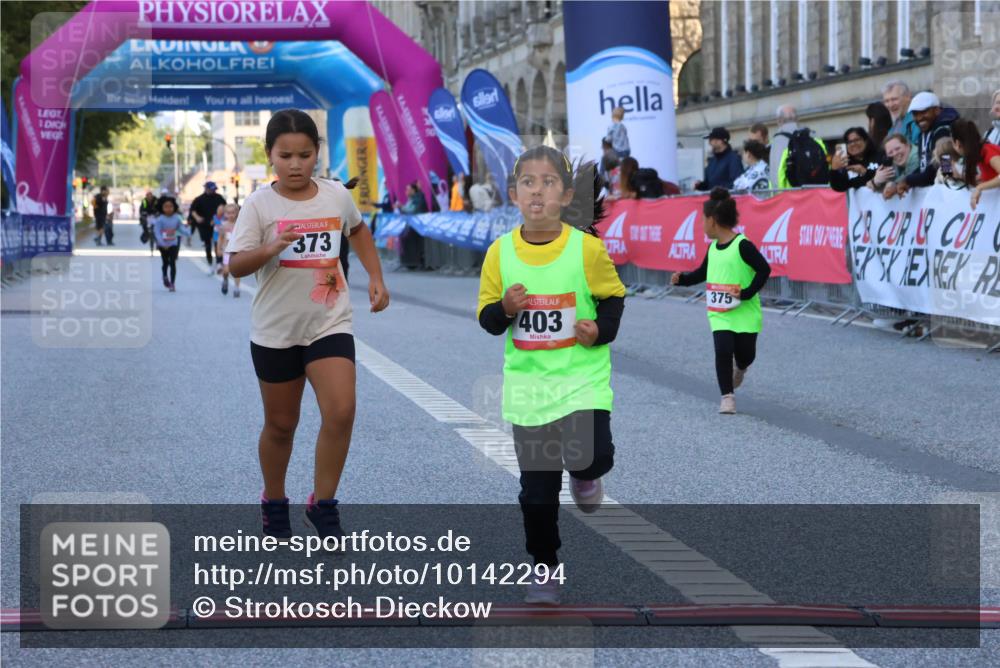 06.09.2026 - CURREX Alsterlauf Strokosch-Dieckow http://msf.ph/oto/10142294 06.09.2026 10:55:59 Ziel 245, 331, 373, 375, 395, 403 meine-sportfotos.de