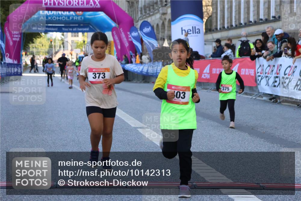 06.09.2026 - CURREX Alsterlauf Strokosch-Dieckow http://msf.ph/oto/10142313 06.09.2026 10:55:59 Ziel 245, 331, 373, 375, 395, 403 meine-sportfotos.de