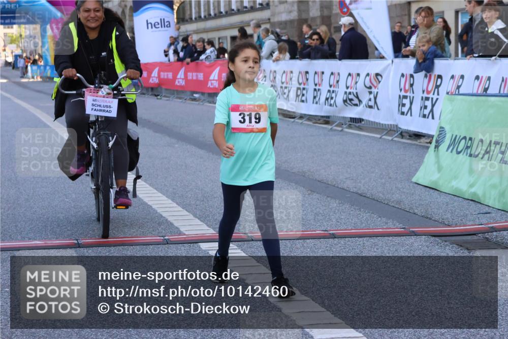 06.09.2026 - CURREX Alsterlauf Strokosch-Dieckow http://msf.ph/oto/10142460 06.09.2026 10:56:29 Ziel 319, 337, 8317 meine-sportfotos.de
