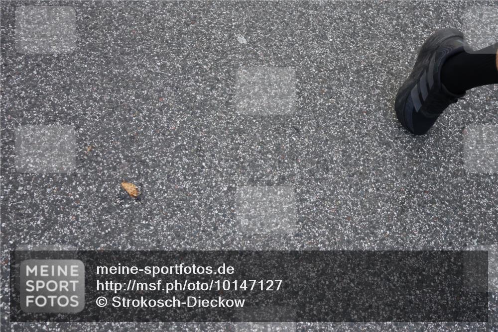 06.09.2026 - CURREX Alsterlauf Strokosch-Dieckow http://msf.ph/oto/10147127 06.09.2026 11:55:48 Ziel 1004, 1005, 1149, 1203, 1234, 1284, 1286, 1288, 1296, 1326 meine-sportfotos.de