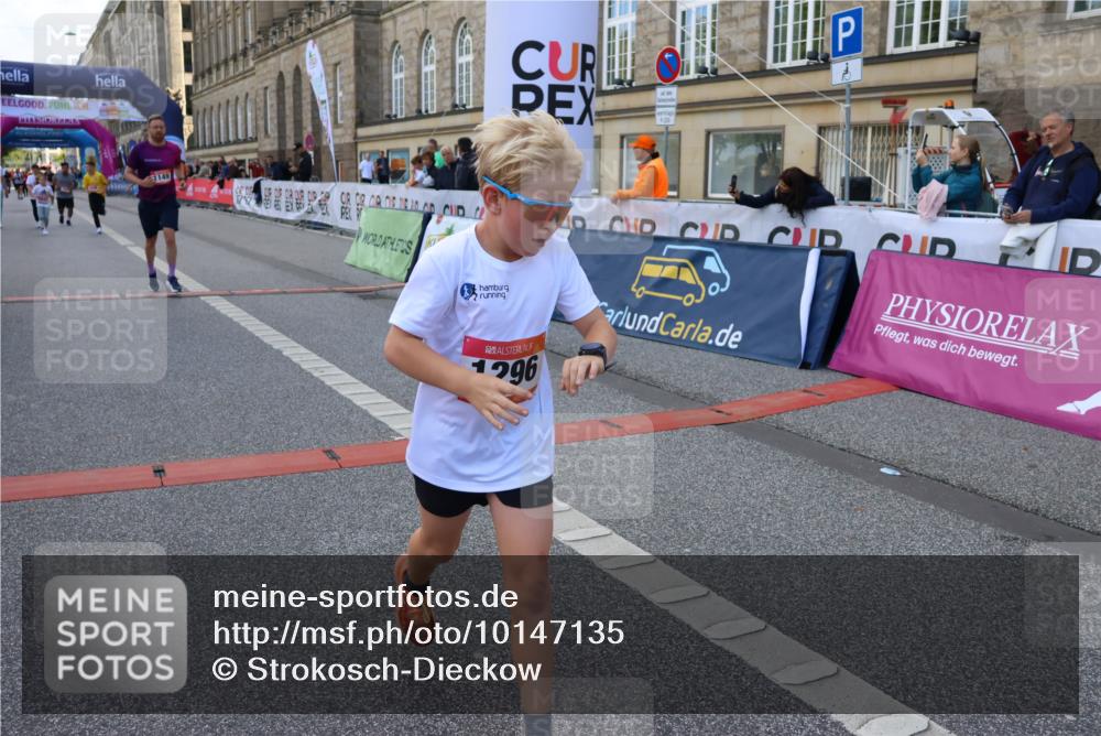 06.09.2026 - CURREX Alsterlauf Strokosch-Dieckow http://msf.ph/oto/10147135 06.09.2026 11:55:52 Ziel 1004, 1072, 1149, 1234, 1296, 1326, 8042, 8251, 8346 meine-sportfotos.de