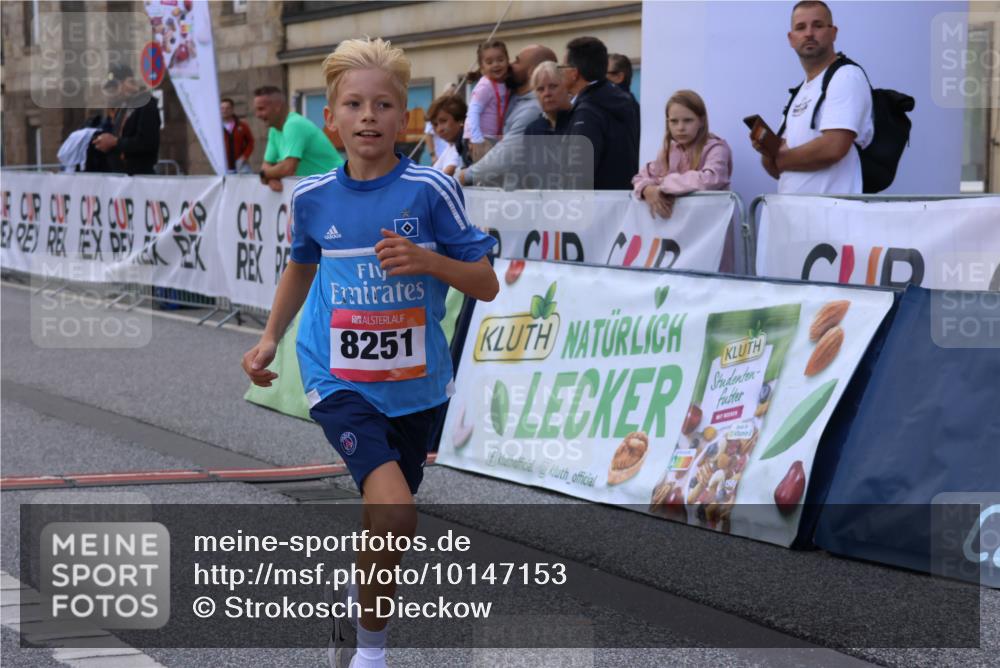 06.09.2026 - CURREX Alsterlauf Strokosch-Dieckow http://msf.ph/oto/10147153 06.09.2026 11:55:56 Ziel 1072, 1109, 1110, 1149, 1296, 1299, 1344, 8042, 8251, 8346 meine-sportfotos.de