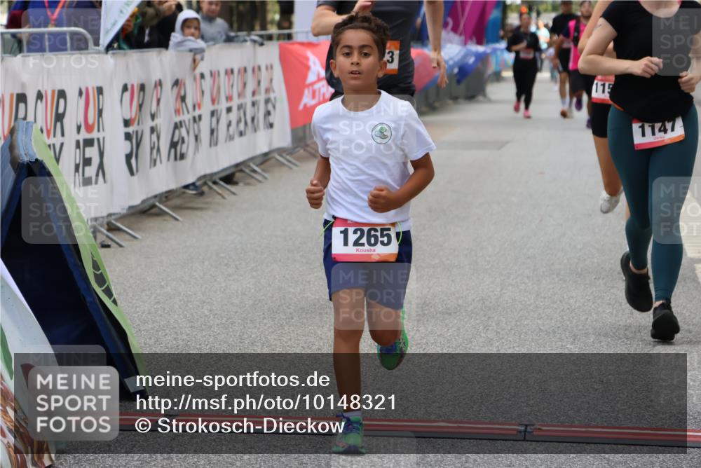 06.09.2026 - CURREX Alsterlauf Strokosch-Dieckow http://msf.ph/oto/10148321 06.09.2026 12:01:29 Ziel 1073, 1147, 1155, 1156, 1243, 1265 meine-sportfotos.de
