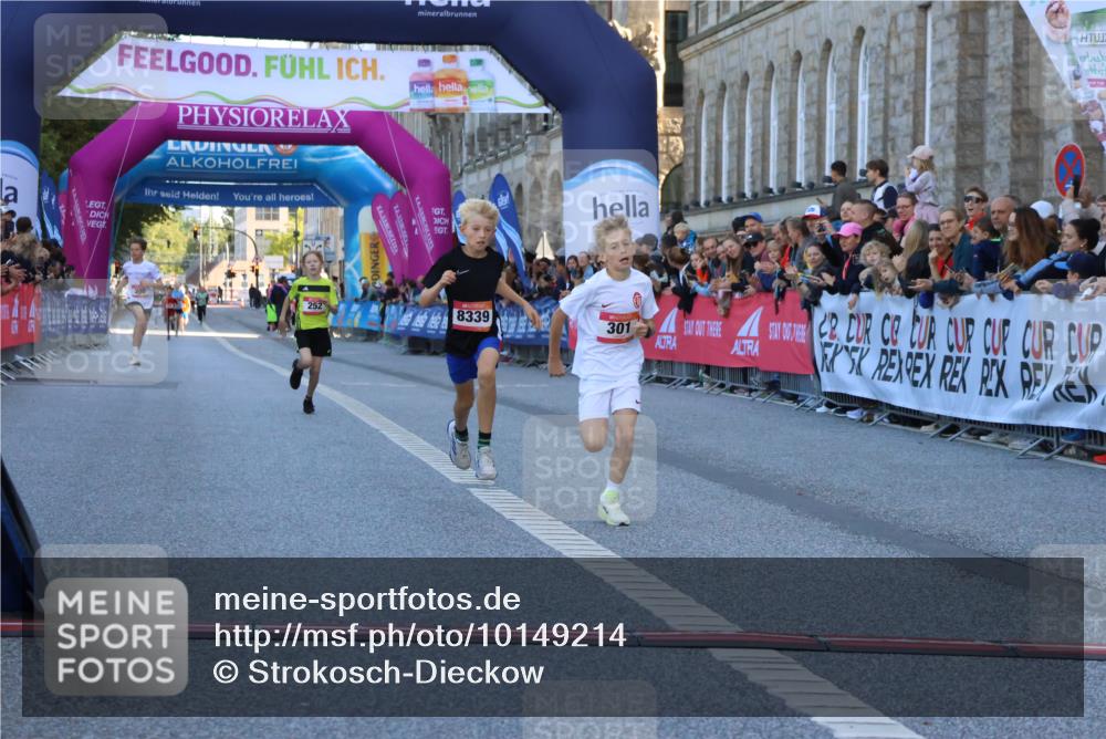 06.09.2026 - CURREX Alsterlauf Strokosch-Dieckow http://msf.ph/oto/10149214 06.09.2026 10:52:15 Ziel 252, 301, 8339 meine-sportfotos.de
