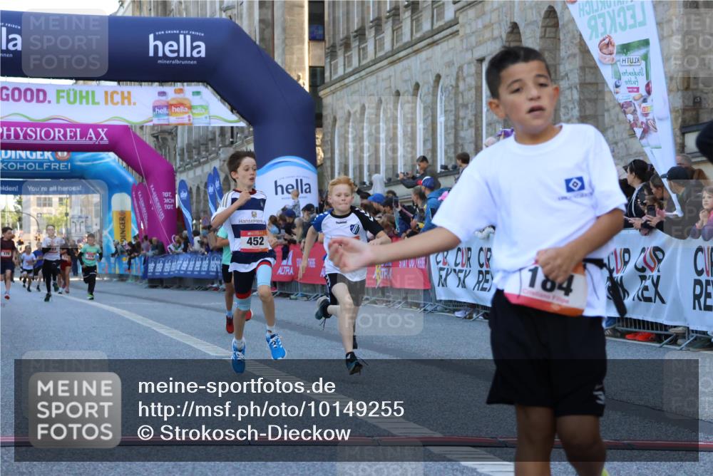 06.09.2026 - CURREX Alsterlauf Strokosch-Dieckow http://msf.ph/oto/10149255 06.09.2026 10:52:45 Ziel 161, 182, 184, 268, 281, 293, 355, 408, 409, 452 meine-sportfotos.de