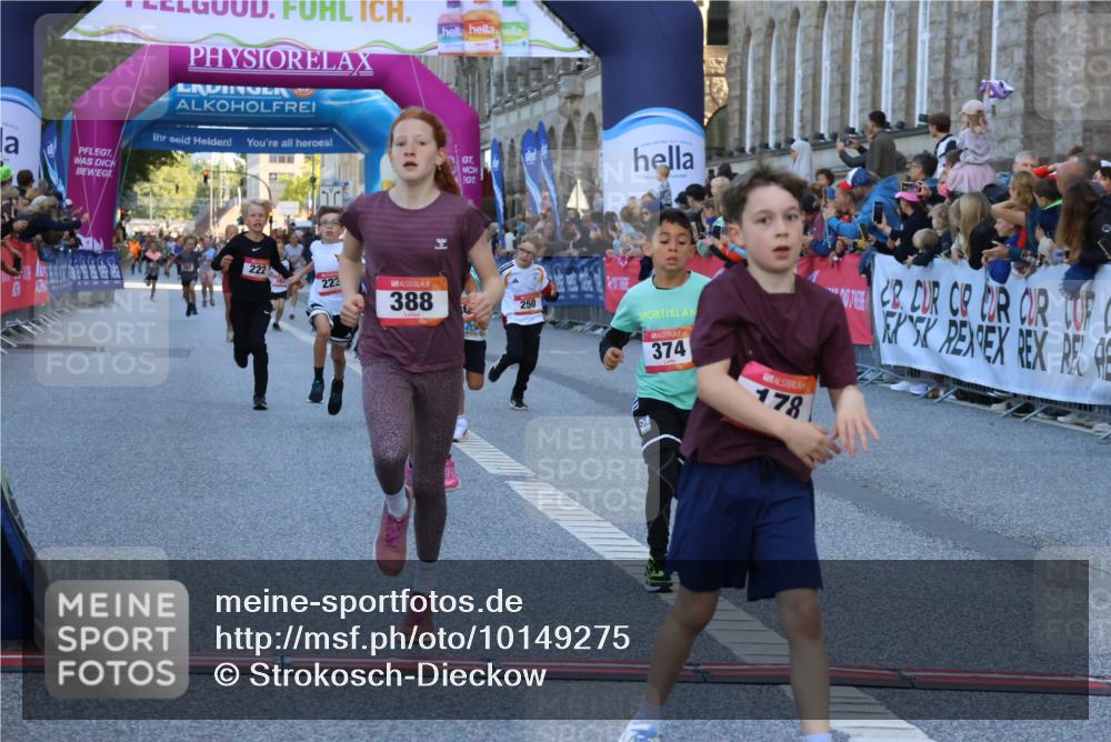 06.09.2026 - CURREX Alsterlauf Strokosch-Dieckow http://msf.ph/oto/10149275 06.09.2026 10:52:53 Ziel 151, 178, 222, 223, 250, 280, 281, 293, 355, 374, 388, 408, 452 meine-sportfotos.de
