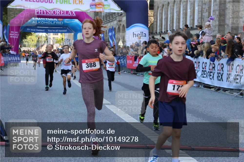 06.09.2026 - CURREX Alsterlauf Strokosch-Dieckow http://msf.ph/oto/10149278 06.09.2026 10:52:53 Ziel 151, 178, 222, 223, 250, 280, 281, 293, 355, 374, 388, 408, 452 meine-sportfotos.de