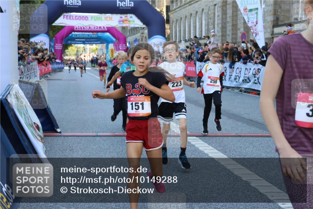 06.09.2026 - CURREX Alsterlauf Strokosch-Dieckow http://msf.ph/oto/10149288 06.09.2026 10:52:56 Ziel 151, 158, 178, 222, 223, 250, 251, 280, 293, 374, 388, 430 meine-sportfotos.de
