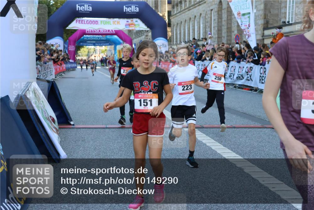 06.09.2026 - CURREX Alsterlauf Strokosch-Dieckow http://msf.ph/oto/10149290 06.09.2026 10:52:56 Ziel 151, 158, 178, 222, 223, 250, 251, 280, 293, 374, 388, 430 meine-sportfotos.de