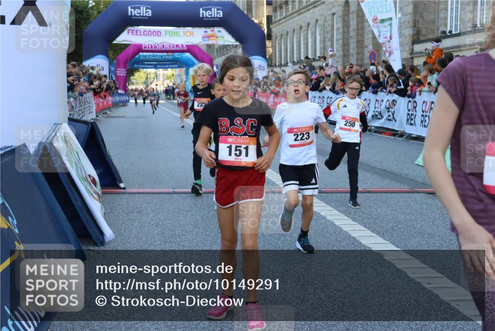 06.09.2026 - CURREX Alsterlauf Strokosch-Dieckow http://msf.ph/oto/10149291 06.09.2026 10:52:57 Ziel 151, 158, 178, 222, 223, 250, 251, 280, 293, 374, 388, 430 meine-sportfotos.de