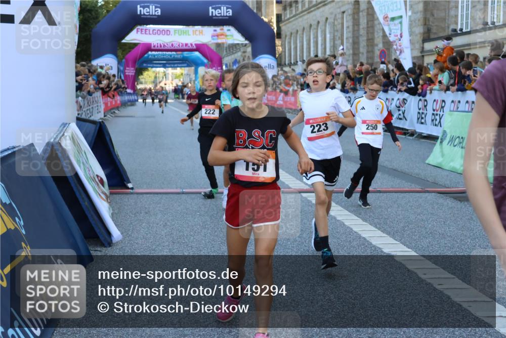 06.09.2026 - CURREX Alsterlauf Strokosch-Dieckow http://msf.ph/oto/10149294 06.09.2026 10:52:57 Ziel 151, 158, 178, 222, 223, 250, 251, 280, 293, 374, 388, 430 meine-sportfotos.de