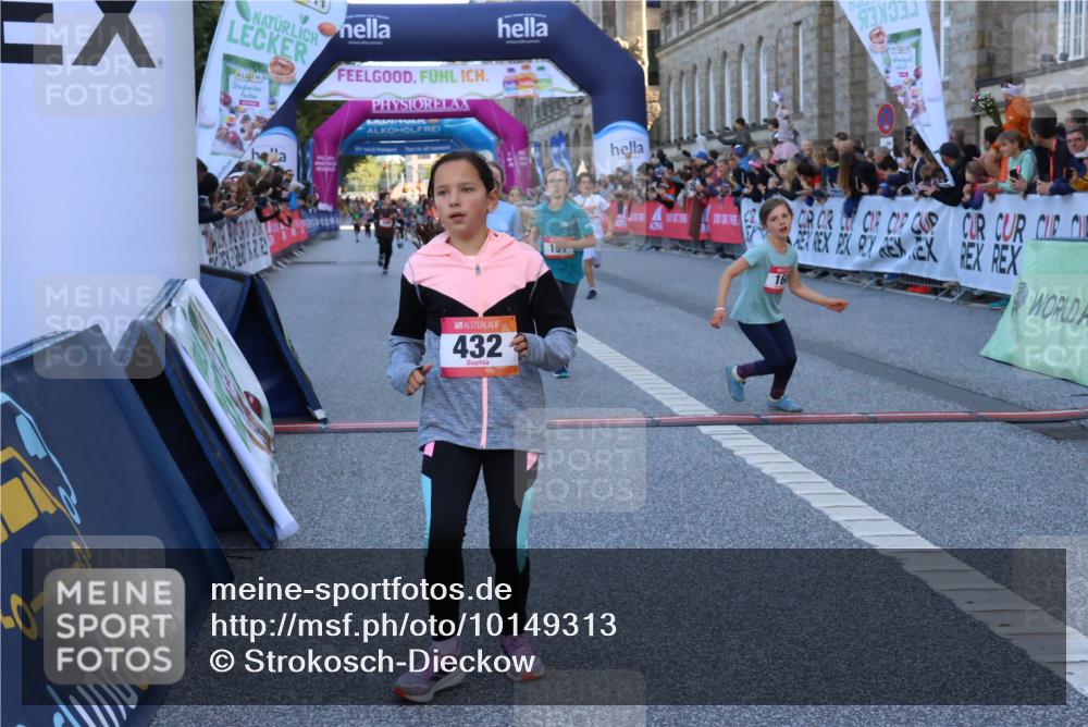 06.09.2026 - CURREX Alsterlauf Strokosch-Dieckow http://msf.ph/oto/10149313 06.09.2026 10:53:10 Ziel 168, 170, 183, 246, 247, 272, 282, 303, 309, 432 meine-sportfotos.de
