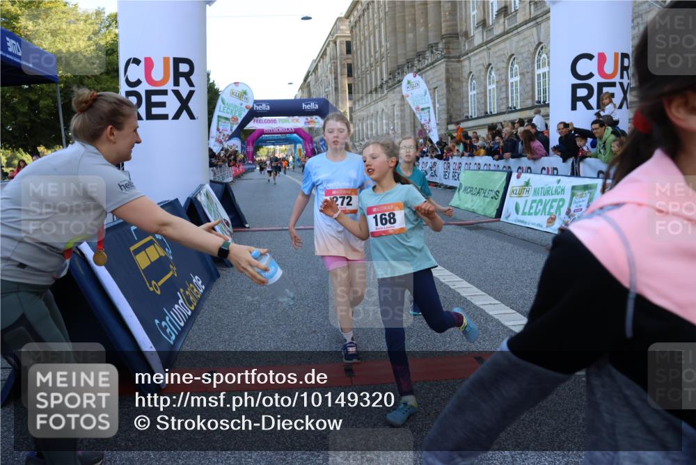 06.09.2026 - CURREX Alsterlauf Strokosch-Dieckow http://msf.ph/oto/10149320 06.09.2026 10:53:12 Ziel 168, 170, 183, 247, 272, 303, 309, 432, 8182 meine-sportfotos.de