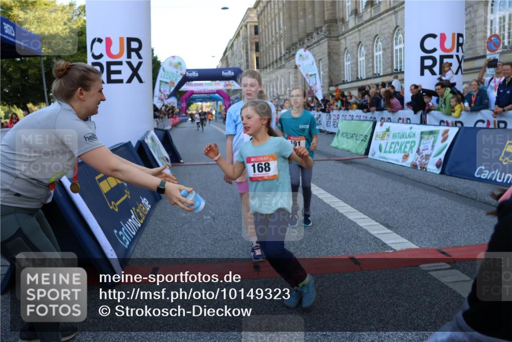 06.09.2026 - CURREX Alsterlauf Strokosch-Dieckow http://msf.ph/oto/10149323 06.09.2026 10:53:12 Ziel 168, 170, 183, 247, 272, 303, 309, 432, 8182 meine-sportfotos.de