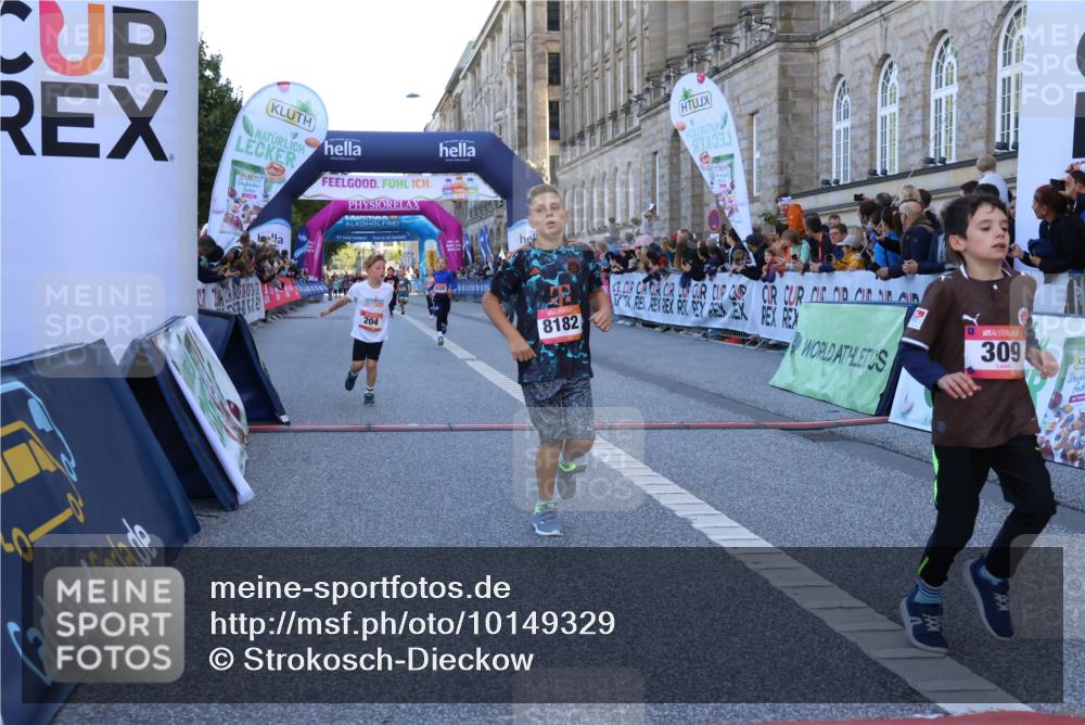 06.09.2026 - CURREX Alsterlauf Strokosch-Dieckow http://msf.ph/oto/10149329 06.09.2026 10:53:17 Ziel 170, 175, 183, 204, 210, 272, 309, 8182, 8220, 8262 meine-sportfotos.de