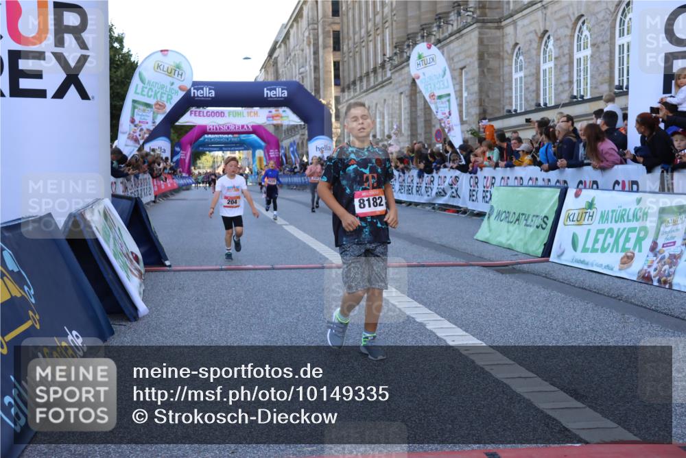 06.09.2026 - CURREX Alsterlauf Strokosch-Dieckow http://msf.ph/oto/10149335 06.09.2026 10:53:17 Ziel 170, 175, 183, 204, 210, 272, 309, 8182, 8220, 8262 meine-sportfotos.de