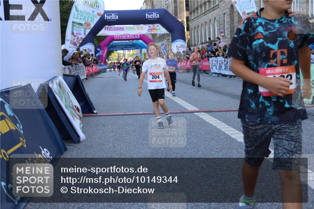 06.09.2026 - CURREX Alsterlauf Strokosch-Dieckow http://msf.ph/oto/10149344 06.09.2026 10:53:19 Ziel 170, 175, 183, 186, 204, 210, 309, 397, 420, 8182, 8220, 8262 meine-sportfotos.de