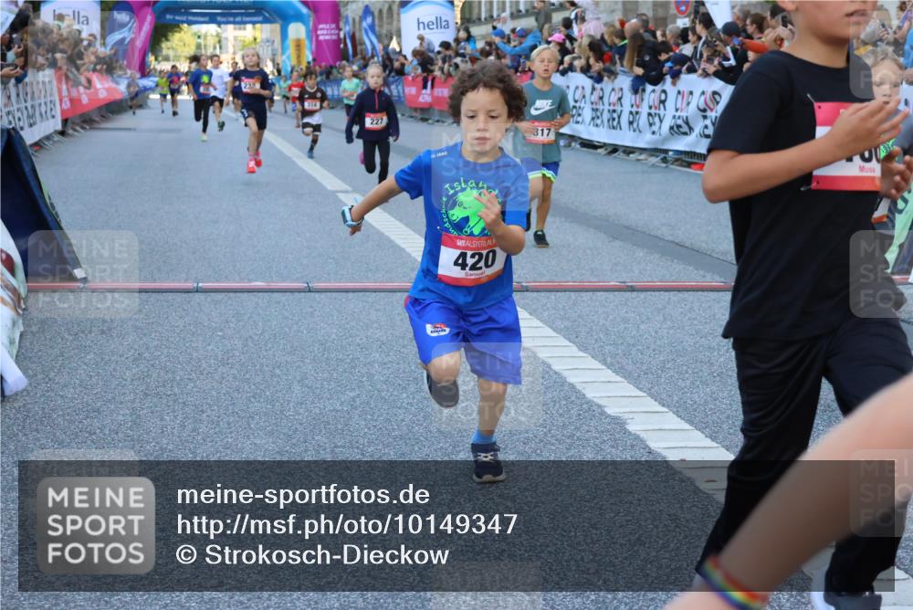 06.09.2026 - CURREX Alsterlauf Strokosch-Dieckow http://msf.ph/oto/10149347 06.09.2026 10:53:24 Ziel 175, 186, 204, 210, 227, 233, 314, 317, 336, 397, 420, 8124, 8220, 8262 meine-sportfotos.de
