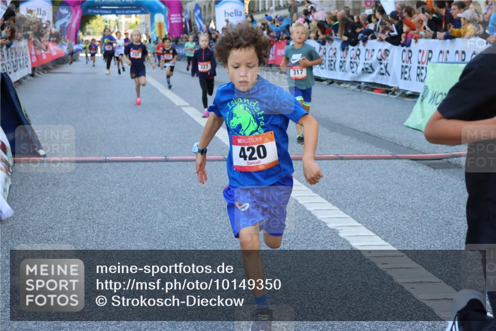 06.09.2026 - CURREX Alsterlauf Strokosch-Dieckow http://msf.ph/oto/10149350 06.09.2026 10:53:25 Ziel 175, 186, 204, 210, 227, 233, 314, 317, 336, 397, 420, 8124, 8220, 8262 meine-sportfotos.de