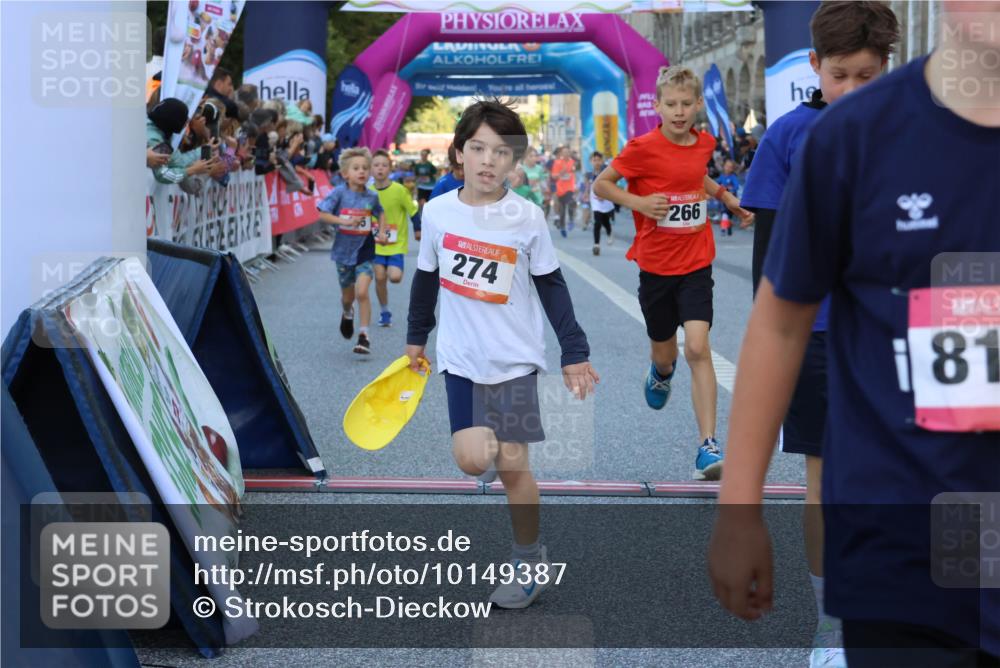 06.09.2026 - CURREX Alsterlauf Strokosch-Dieckow http://msf.ph/oto/10149387 06.09.2026 10:53:36 Ziel 159, 190, 219, 263, 265, 266, 274, 275, 306, 314, 330, 336, 338, 402, 415, 445, 8124, 8180, 8181, 8329 meine-sportfotos.de