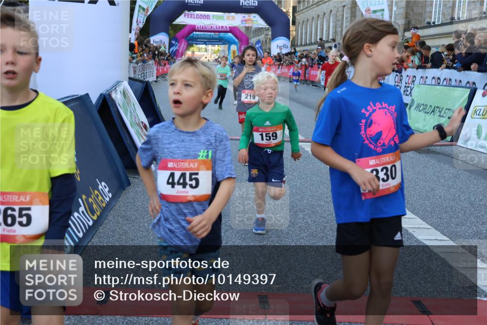 06.09.2026 - CURREX Alsterlauf Strokosch-Dieckow http://msf.ph/oto/10149397 06.09.2026 10:53:42 Ziel 154, 159, 214, 219, 257, 259, 265, 266, 274, 286, 306, 330, 401, 402, 415, 445, 8123, 8181 meine-sportfotos.de