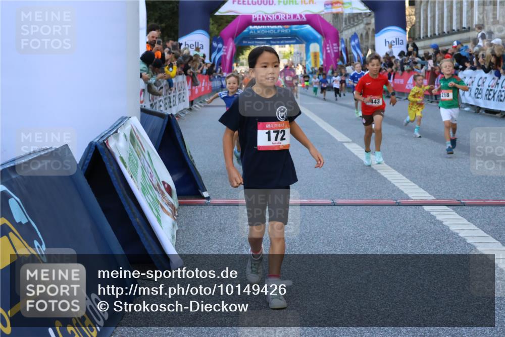 06.09.2026 - CURREX Alsterlauf Strokosch-Dieckow http://msf.ph/oto/10149426 06.09.2026 10:53:58 Ziel 157, 172, 177, 185, 195, 203, 208, 216, 218, 221, 243, 292, 302, 320, 334, 362, 404, 414, 418, 443, 8101, 8196, 8221, 8252 meine-sportfotos.de