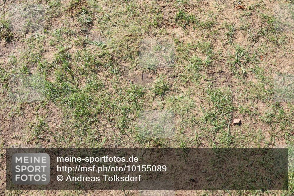 06.09.2026 - 20. Norderstedt Triathlon Andreas Tolksdorf http://msf.ph/oto/10155089 06.09.2026 10:07:30 Schwimmen  meine-sportfotos.de