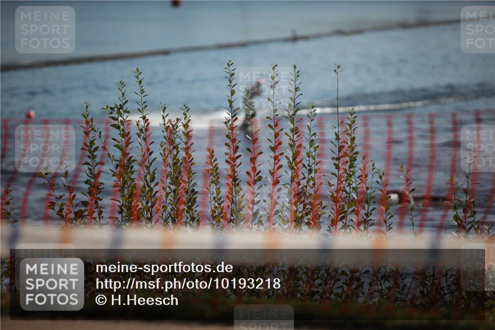 06.09.2026 - 20. Norderstedt Triathlon H.Heesch http://msf.ph/oto/10193218 06.09.2026 10:31:18 Ziel  meine-sportfotos.de