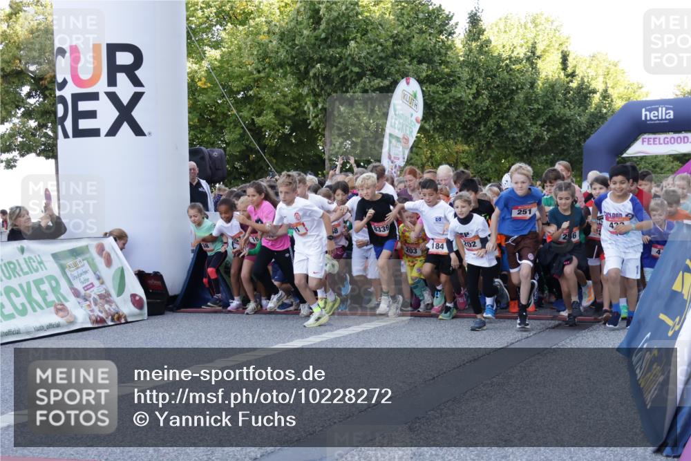 06.09.2026 - CURREX Alsterlauf Yannick Fuchs http://msf.ph/oto/10228272 06.09.2026 10:48:41 Ziel  meine-sportfotos.de