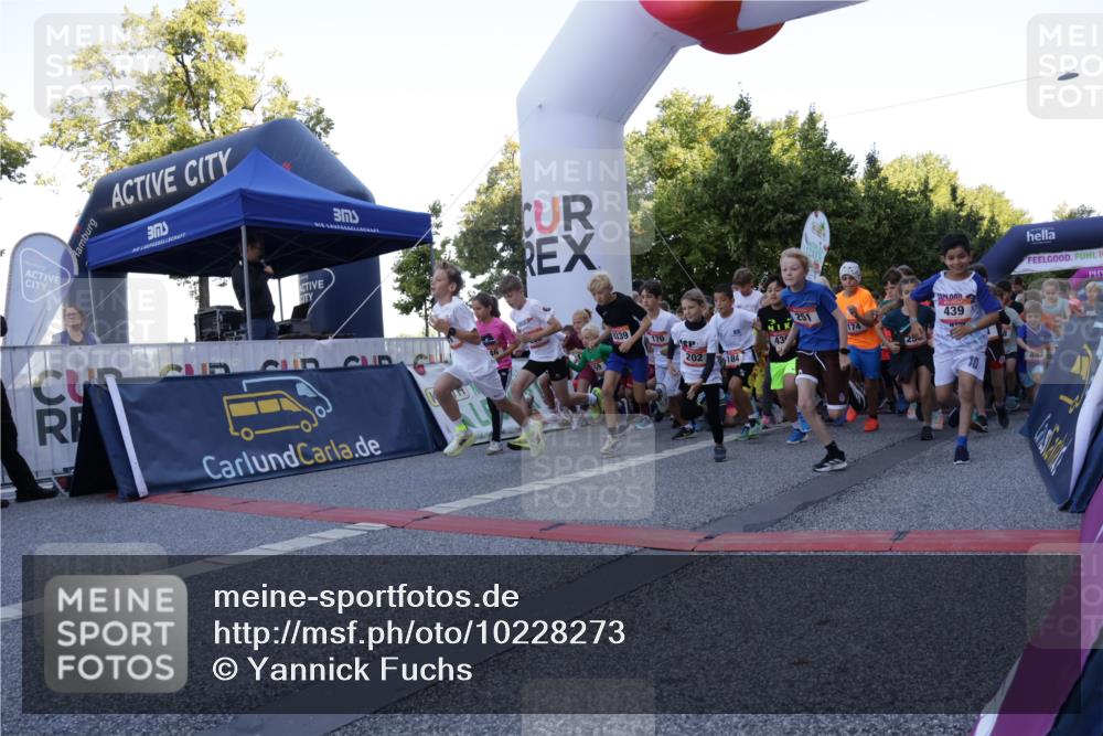 06.09.2026 - CURREX Alsterlauf Yannick Fuchs http://msf.ph/oto/10228273 06.09.2026 10:48:42 Ziel  meine-sportfotos.de