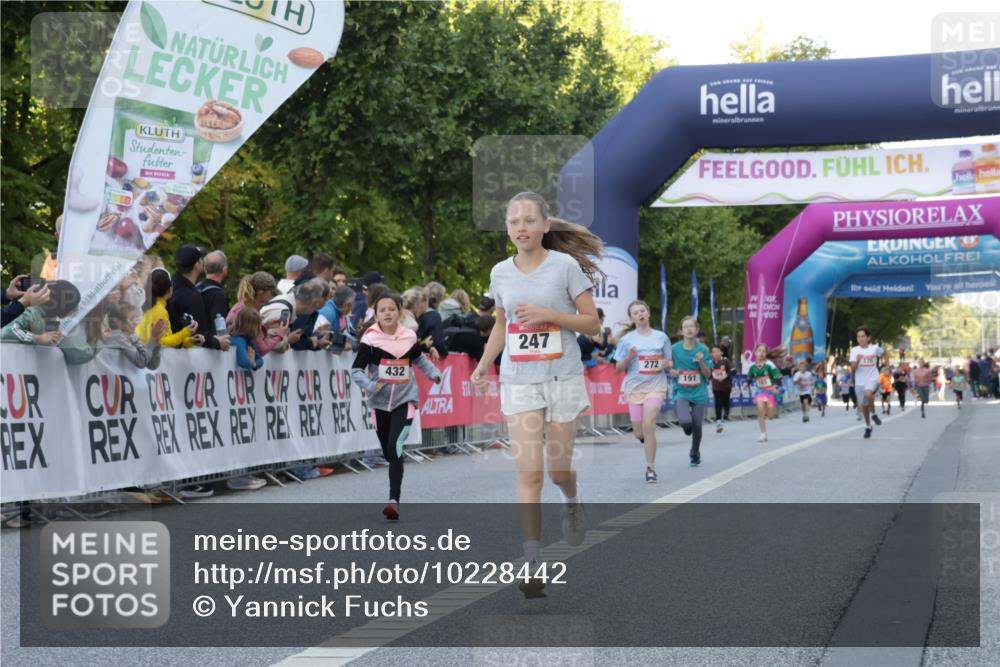 06.09.2026 - CURREX Alsterlauf Yannick Fuchs http://msf.ph/oto/10228442 06.09.2026 10:53:05 Ziel 158, 168, 246, 247, 251, 272, 282, 303, 430, 432 meine-sportfotos.de