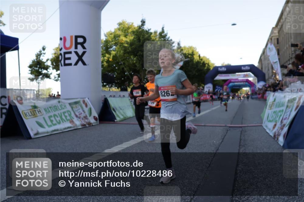06.09.2026 - CURREX Alsterlauf Yannick Fuchs http://msf.ph/oto/10228486 06.09.2026 10:53:22 Ziel 175, 186, 204, 210, 227, 233, 309, 317, 397, 420, 8182, 8220, 8262 meine-sportfotos.de