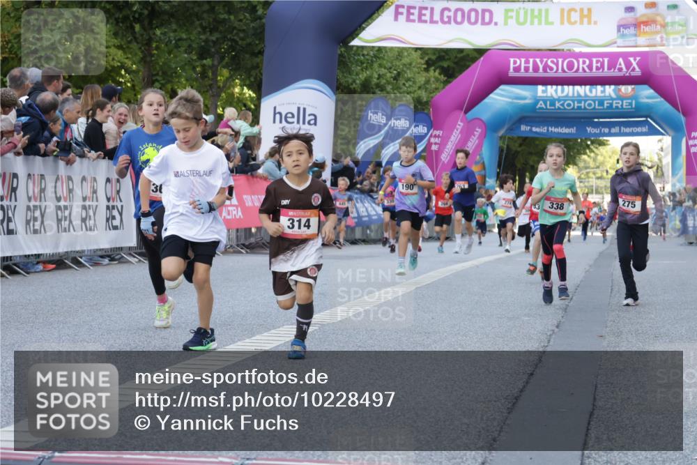 06.09.2026 - CURREX Alsterlauf Yannick Fuchs http://msf.ph/oto/10228497 06.09.2026 10:53:26 Ziel 175, 186, 210, 227, 233, 275, 314, 317, 336, 338, 397, 420, 8124, 8220, 8262 meine-sportfotos.de
