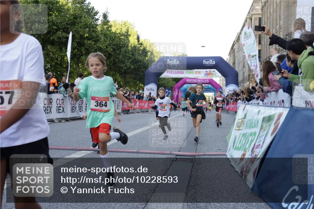 06.09.2026 - CURREX Alsterlauf Yannick Fuchs http://msf.ph/oto/10228593 06.09.2026 10:54:05 Ziel 157, 195, 201, 202, 203, 216, 218, 221, 256, 260, 292, 296, 302, 312, 321, 364, 379, 414, 416, 443, 446, 455, 8253 meine-sportfotos.de