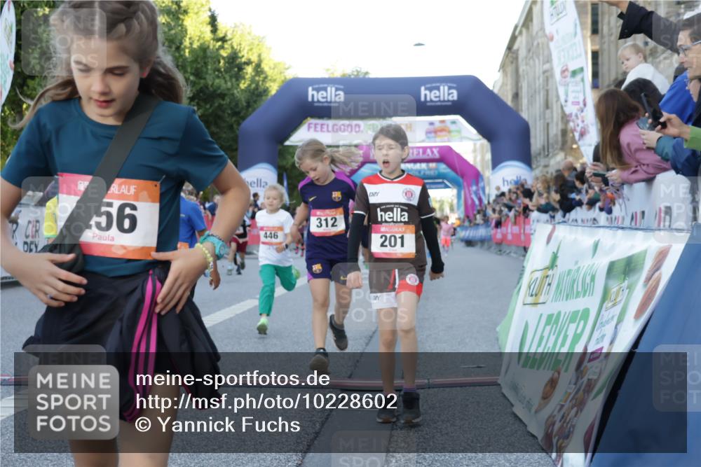 06.09.2026 - CURREX Alsterlauf Yannick Fuchs http://msf.ph/oto/10228602 06.09.2026 10:54:08 Ziel 157, 195, 201, 202, 203, 216, 256, 258, 260, 276, 296, 312, 321, 347, 364, 379, 414, 416, 446, 455, 8253 meine-sportfotos.de